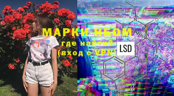 бошки Бородино