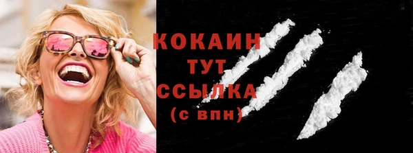 бошки Бородино
