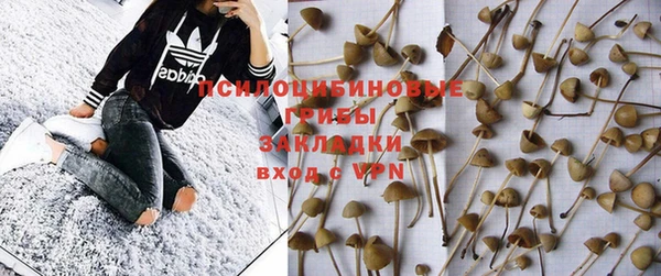 бошки Бородино