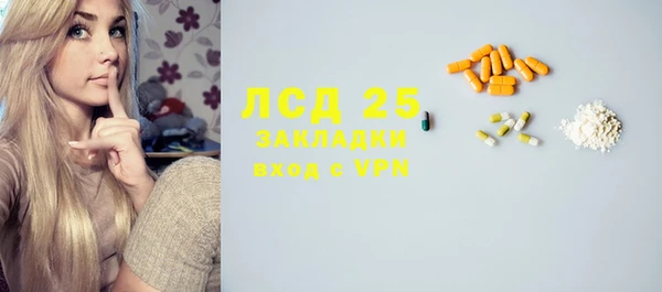 бошки Бородино