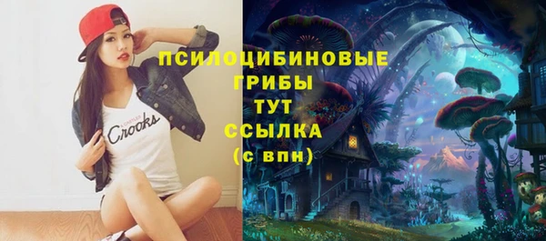 бошки Бородино
